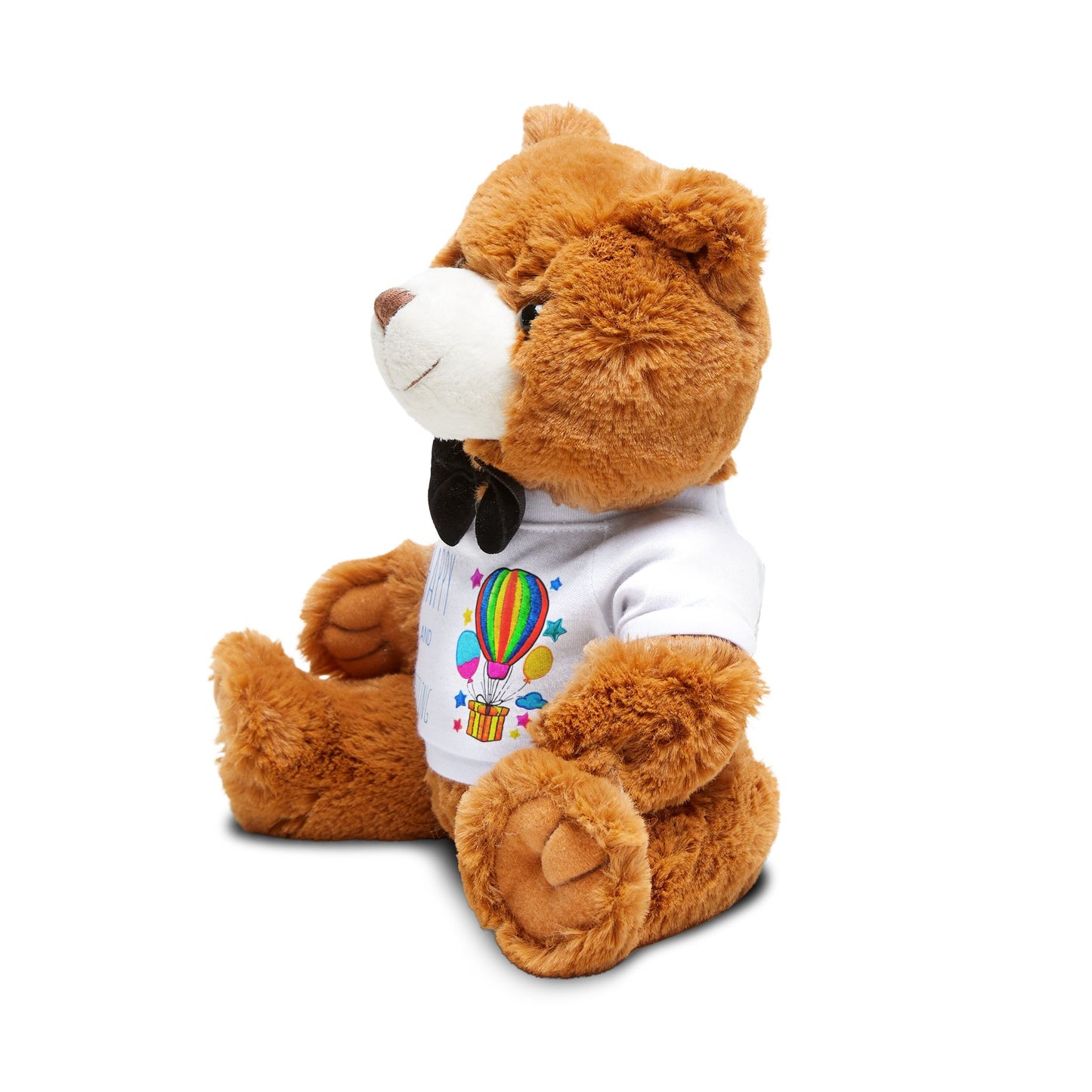 Teddy Bear with T-Shirt