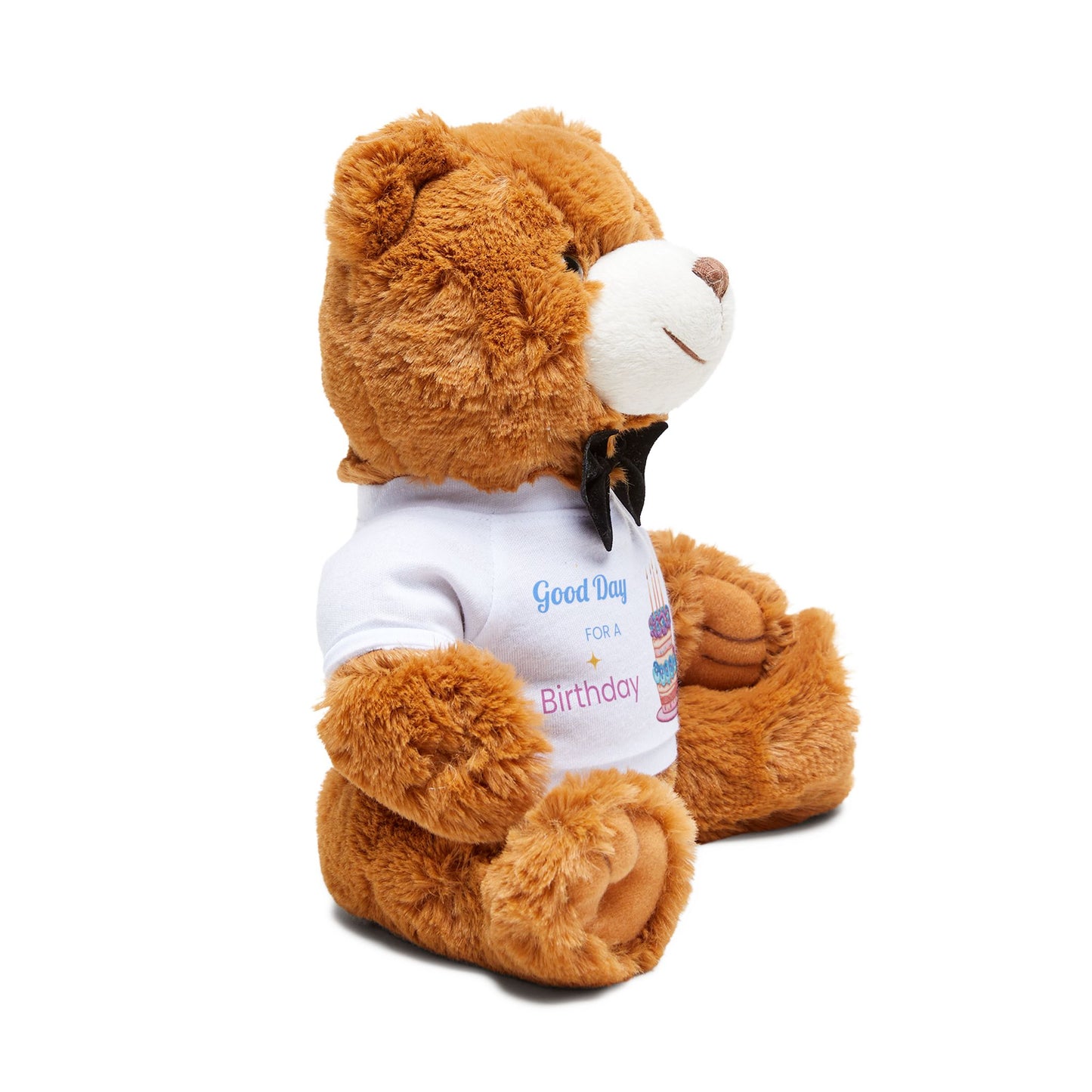 Teddy Bear with Birthday T-Shirt