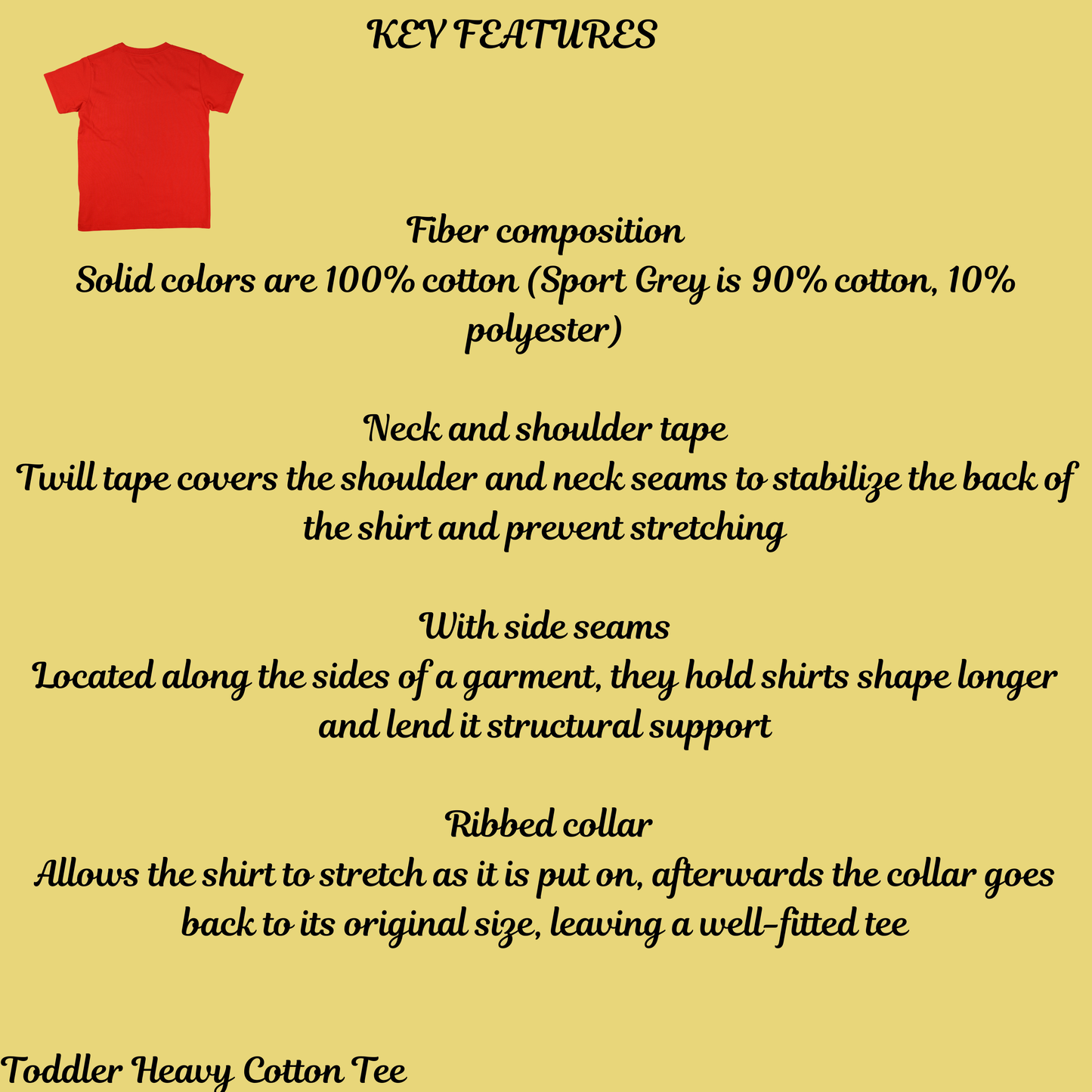 Toddler Airplane T-Shirt